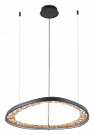 Подвесной светильник Arte Lamp Cinta A1847SP-46BK, фото 3
