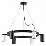 Подвесная люстра Lightstar Rullo LR016373363, фото 3