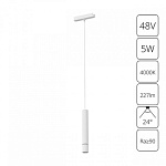 Подвесной светильник Arte Lamp Rapid A6159PL-1WH, фото 3