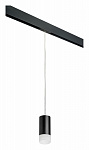 Подвесной светильник Lightstar Rullo PRORP43731, фото 2