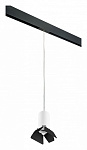 Подвесной светильник Lightstar Rullo PRORP436437, фото 2