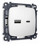 Розетка 2хUSB type A и C без рамки Ambrella Volt OMEGA MO131010