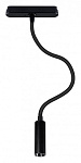 Светильник на штанге Arte Lamp Rapid A6162PL-1BK, фото 2
