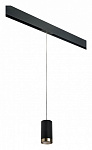 Подвесной светильник Lightstar Rullo PRORP437431, фото 2