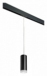 Подвесной светильник Lightstar Rullo PRORP48730, фото 2