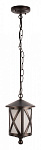 Подвесной светильник Loft it Ravenna 100016P, фото 3