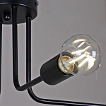 Потолочная люстра ILLUMICO IL2000-8C-05 BK, фото 4