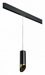 Подвесной светильник Lightstar Rullo PRORP487131, фото 2