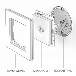 ТВ-розетка без рамки Werkel Серебряный W1184006, фото 3