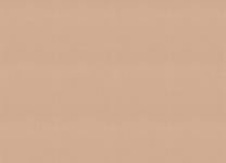 687576 Обои Rasch (1*12) 10,05x0,53 винил на флизелине, фото 3