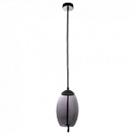 Подвесной светильник Arte Lamp Cody A7769SP-1BC, фото 3