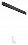 Подвесной светильник Lightstar Rullo PRORP43630