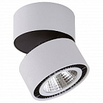 Накладной светильник Lightstar Forte Muro 214830, фото 1