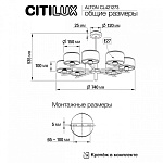 Люстра на штанге Citilux ALTON CL421273, фото 4
